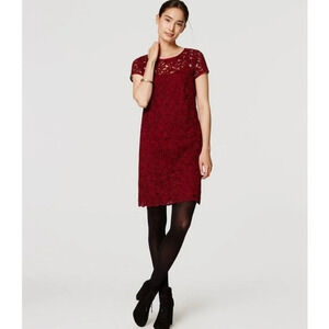 Loft Burgundy Lace Shift Dress